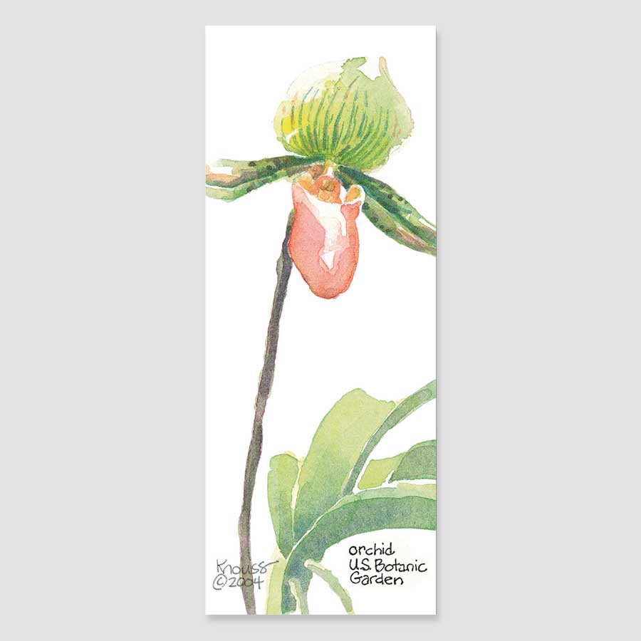181B orchid bookmark