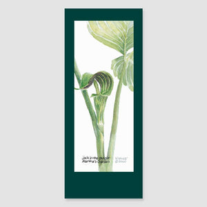 150BMC Jack-in-the-Pulpit bookmark card