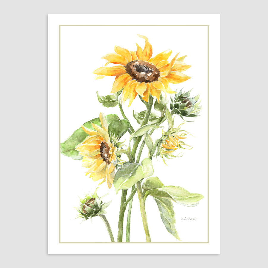 201N Sunflowers