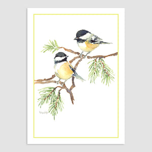 262N Chickadees