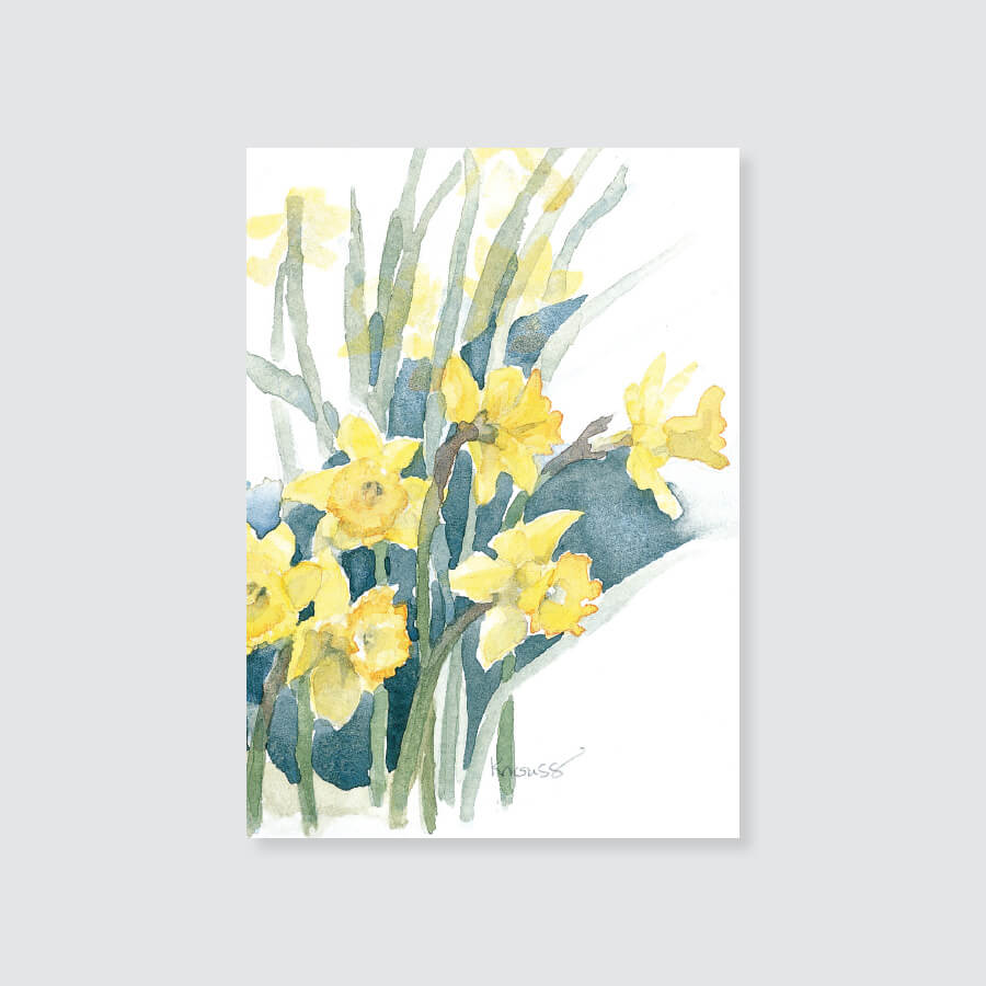 153GEa daffodil gift enclosure