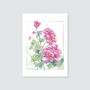 176GE pink geranium gift enclosure