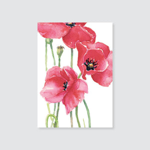182GE red poppy gift enclosure