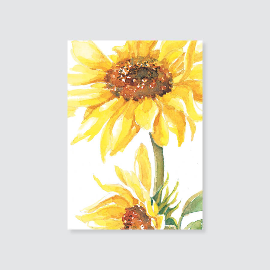 187GE sunflower gift enclosure