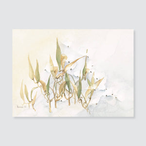 108 butterfly weed note card / mini-note card