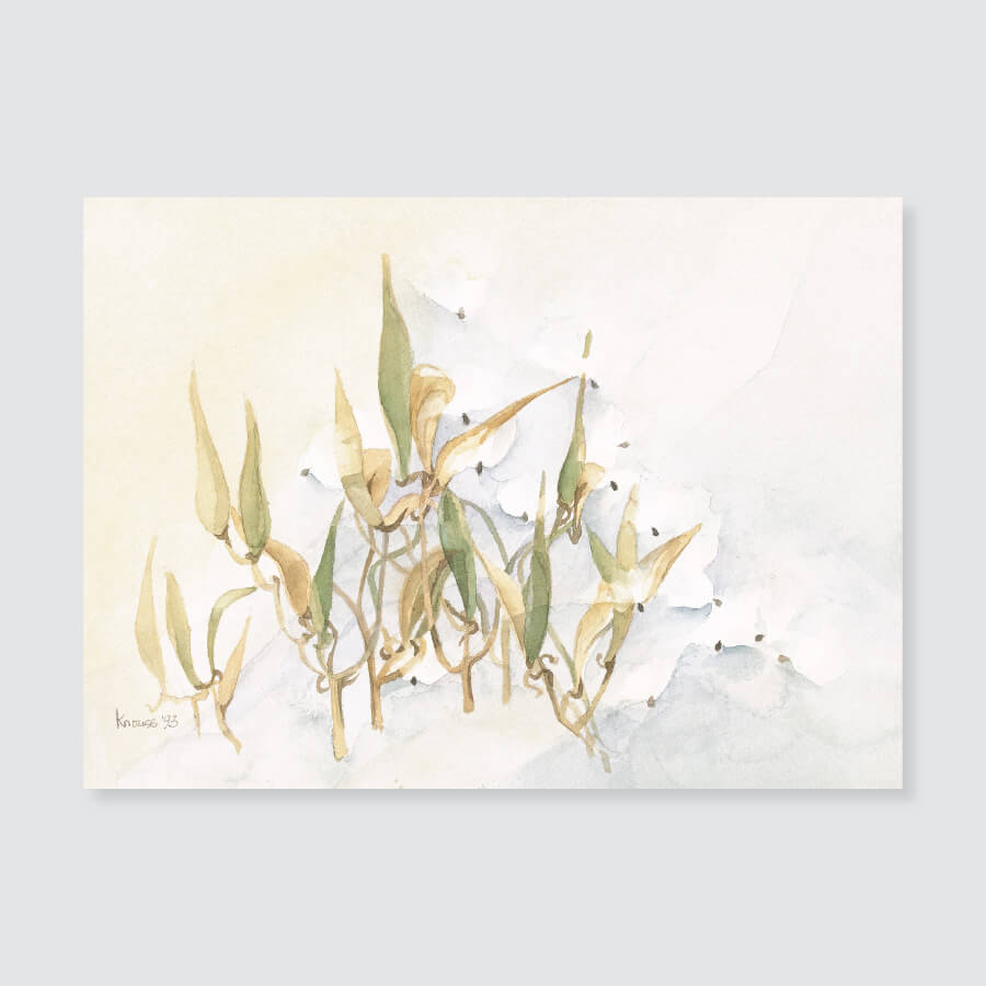 108 butterfly weed note card / mini-note card