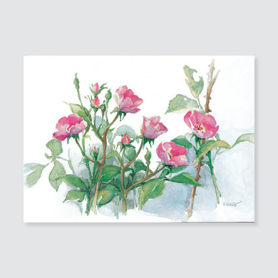145 shrub rose note card / mini-note card