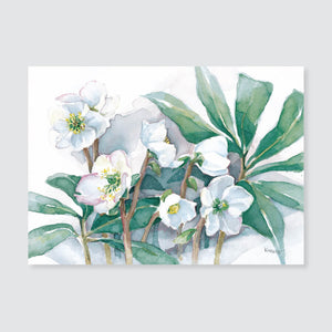 148 Christmas rose note card / mini-note card