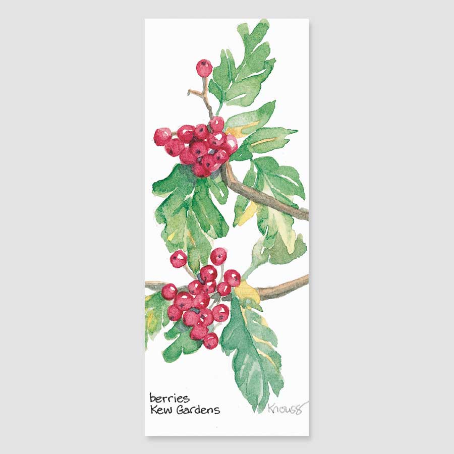 139B Kew berries bookmark