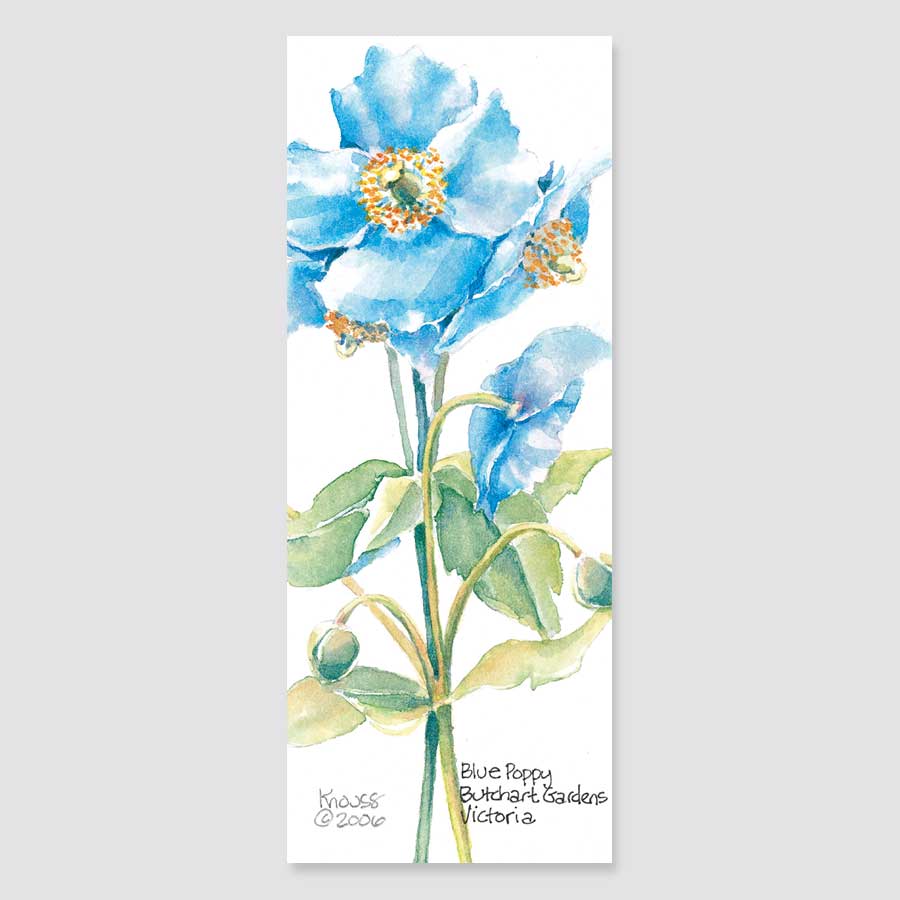 185B blue poppy bookmark