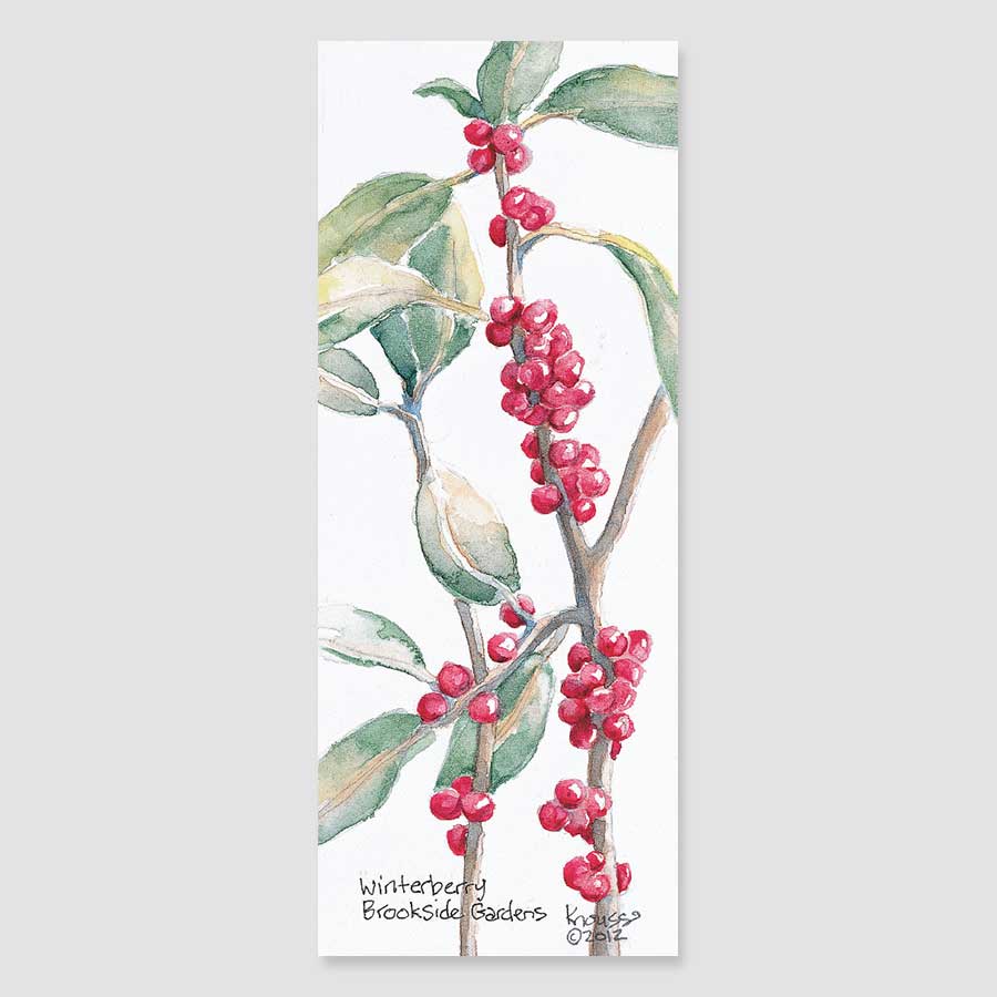 198B winterberry bookmark