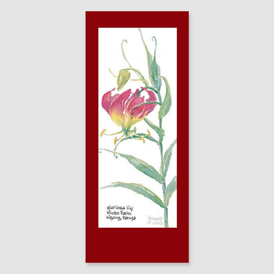 169BMC gloriosa lily bookmark card